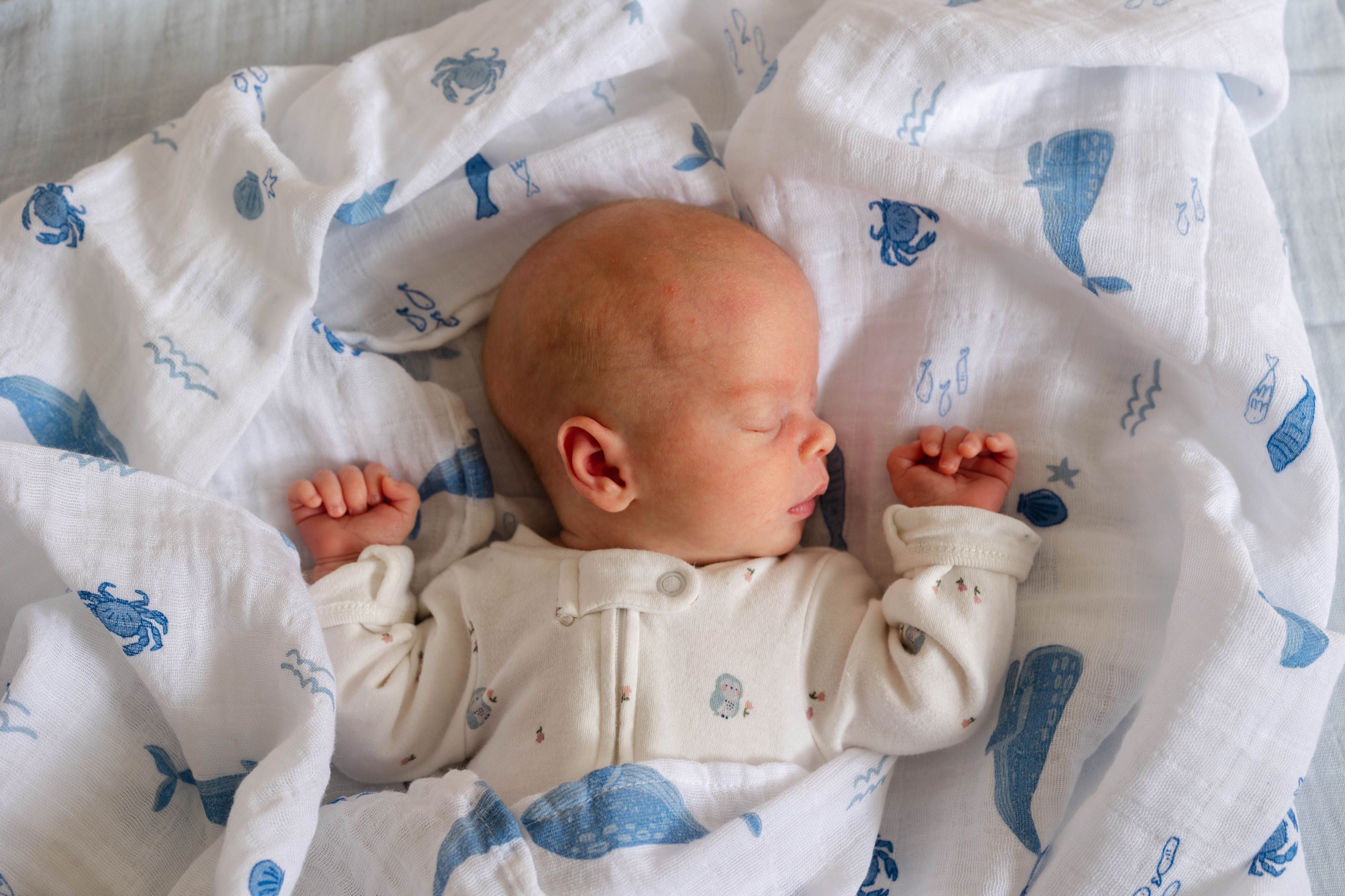 Muslin Swaddle Blankets - Sea Creatures (2 Pack)