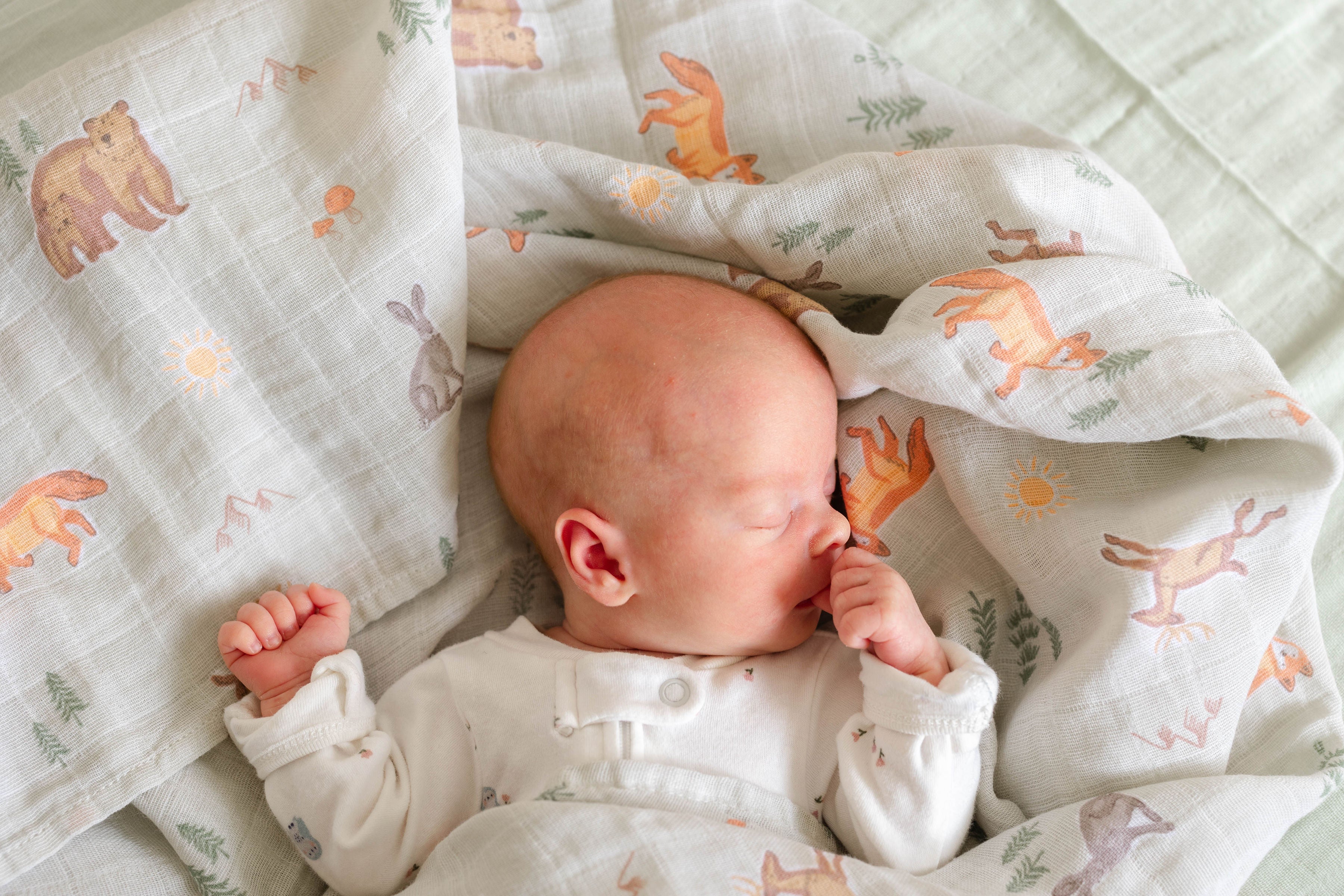 Muslin Swaddle Blankets - Woodland Creatures (2 Pack)